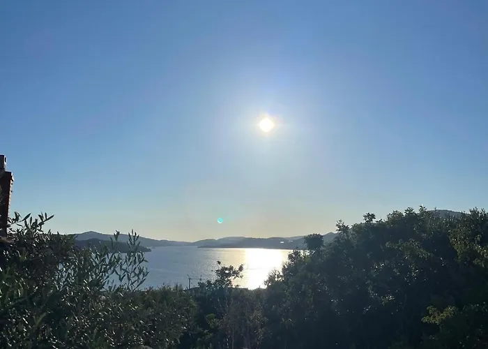 Panorama *