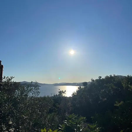 Panorama *